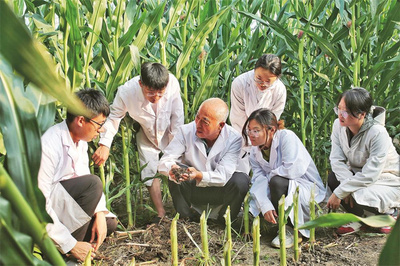 四平全力推進(jìn)“梨樹模式”提檔升級 農(nóng)業(yè)技術(shù)的新篇章
