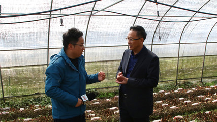 貴州省農(nóng)科院 科技賦能山地農(nóng)業(yè)的科研先鋒