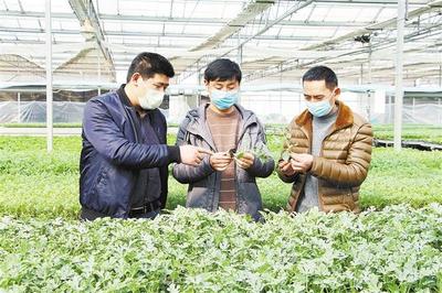 農(nóng)業(yè)技術(shù)研究 驅(qū)動現(xiàn)代耕作的視覺革命